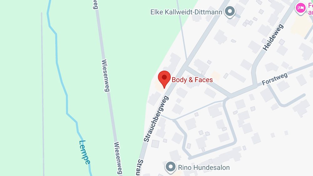 Karte: Body & Faces